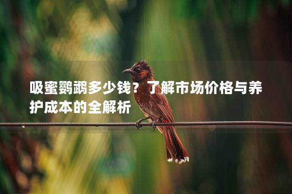 吸蜜鹦鹉多少钱？了解市场价格与养护成本的全解析