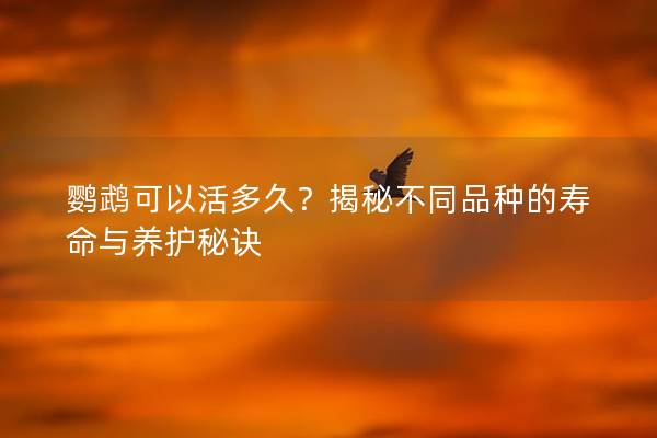 鹦鹉可以活多久？揭秘不同品种的寿命与养护秘诀