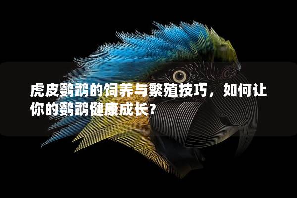 虎皮鹦鹉的饲养与繁殖技巧，如何让你的鹦鹉健康成长？