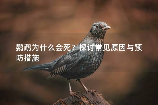 鹦鹉为什么会死？探讨常见原因与预防措施