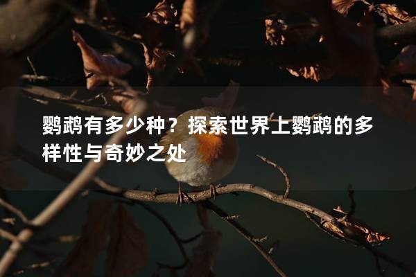 鹦鹉有多少种？探索世界上鹦鹉的多样性与奇妙之处