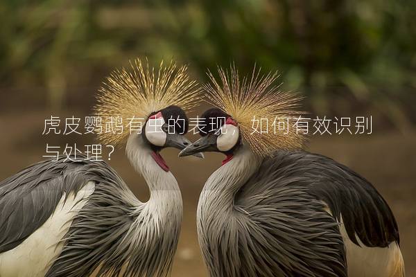 虎皮鹦鹉有虫的表现，如何有效识别与处理？