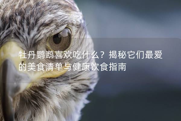 牡丹鹦鹉喜欢吃什么？揭秘它们最爱的美食清单与健康饮食指南
