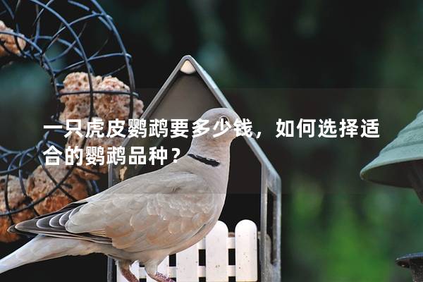 一只虎皮鹦鹉要多少钱，如何选择适合的鹦鹉品种？