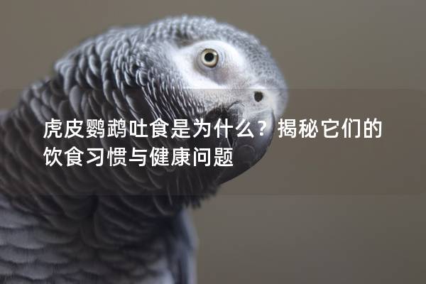 虎皮鹦鹉吐食是为什么？揭秘它们的饮食习惯与健康问题