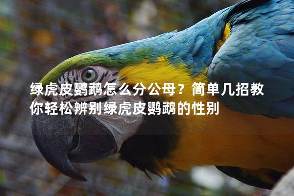 绿虎皮鹦鹉怎么分公母？简单几招教你轻松辨别绿虎皮鹦鹉的性别