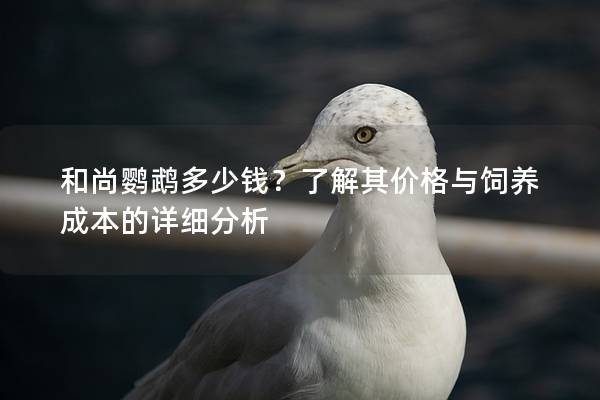 和尚鹦鹉多少钱？了解其价格与饲养成本的详细分析