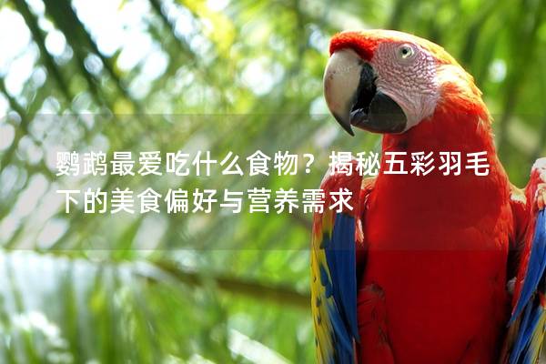 鹦鹉最爱吃什么食物？揭秘五彩羽毛下的美食偏好与营养需求