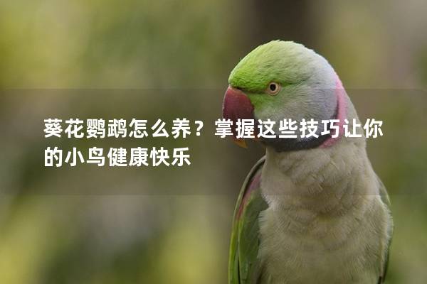 葵花鹦鹉怎么养？掌握这些技巧让你的小鸟健康快乐