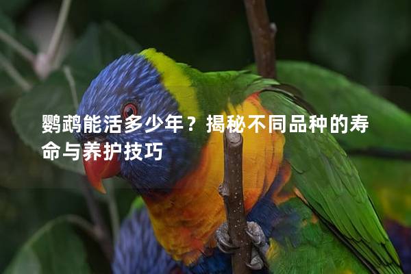 鹦鹉能活多少年？揭秘不同品种的寿命与养护技巧