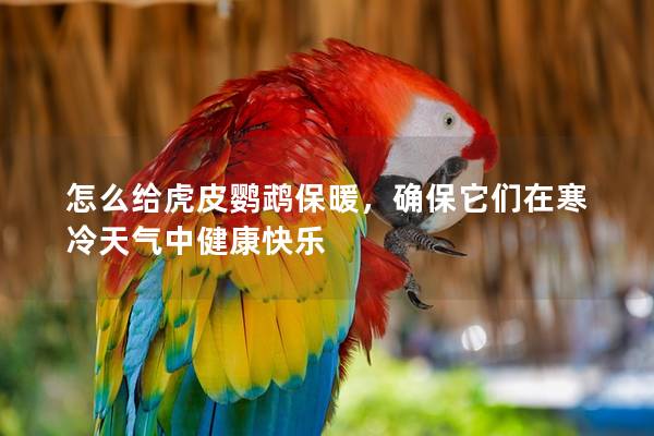 怎么给虎皮鹦鹉保暖，确保它们在寒冷天气中健康快乐