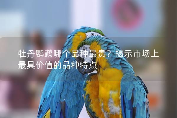牡丹鹦鹉哪个品种最贵？揭示市场上最具价值的品种特点