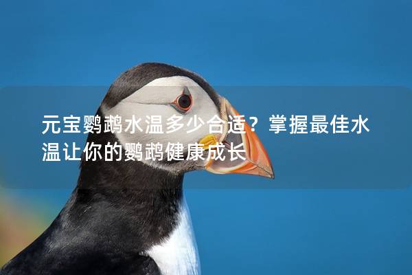 元宝鹦鹉水温多少合适？掌握最佳水温让你的鹦鹉健康成长