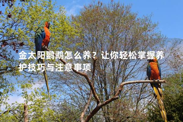 金太阳鹦鹉怎么养？让你轻松掌握养护技巧与注意事项