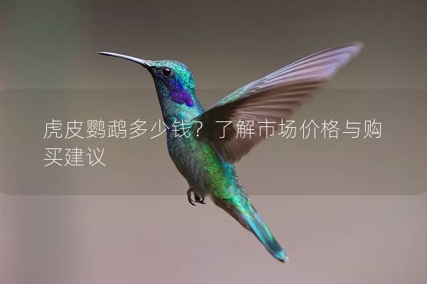 虎皮鹦鹉多少钱？了解市场价格与购买建议