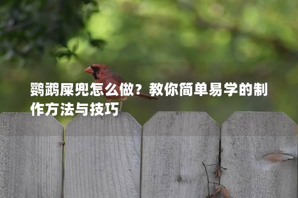 鹦鹉屎兜怎么做？教你简单易学的制作方法与技巧