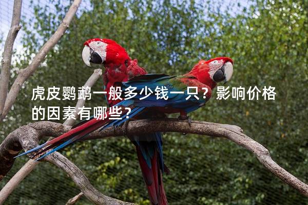 虎皮鹦鹉一般多少钱一只？影响价格的因素有哪些？