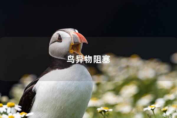 鸟异物阻塞