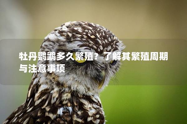 牡丹鹦鹉多久繁殖？了解其繁殖周期与注意事项