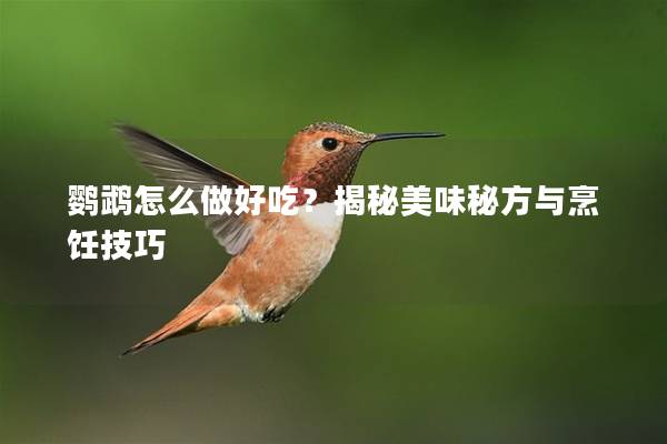 鹦鹉怎么做好吃？揭秘美味秘方与烹饪技巧