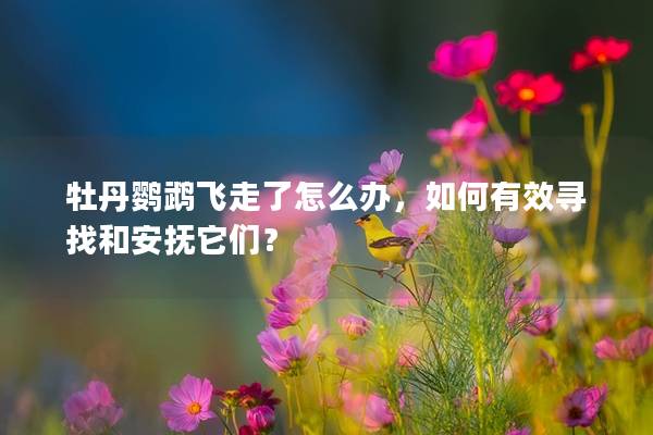 牡丹鹦鹉飞走了怎么办，如何有效寻找和安抚它们？