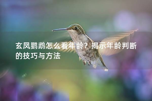 玄凤鹦鹉怎么看年龄？揭示年龄判断的技巧与方法