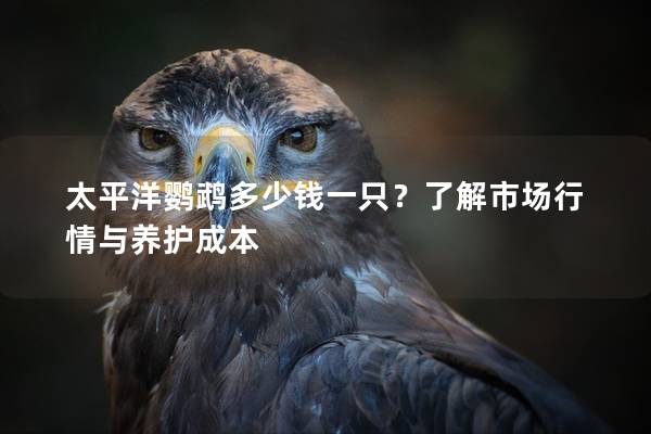 太平洋鹦鹉多少钱一只？了解市场行情与养护成本