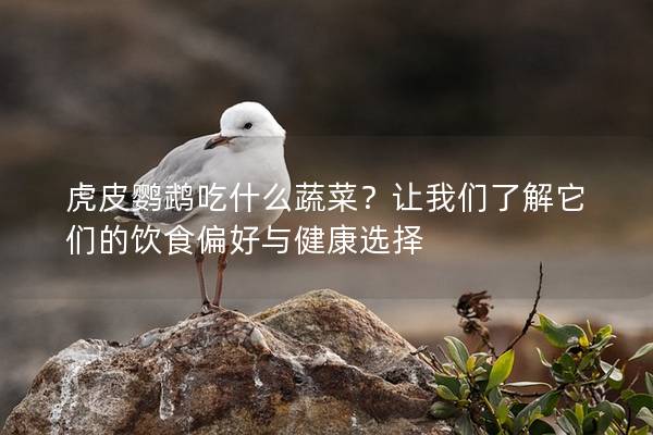 虎皮鹦鹉吃什么蔬菜？让我们了解它们的饮食偏好与健康选择