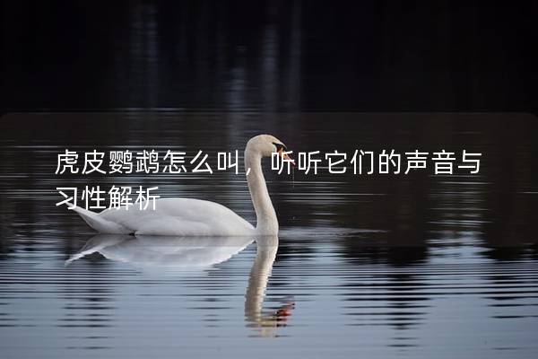 虎皮鹦鹉怎么叫，听听它们的声音与习性解析