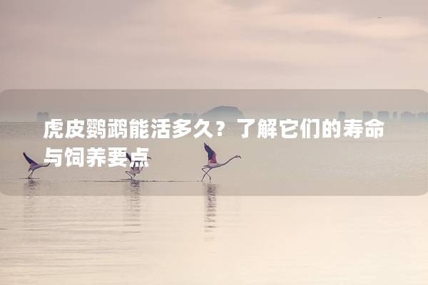 虎皮鹦鹉能活多久？了解它们的寿命与饲养要点