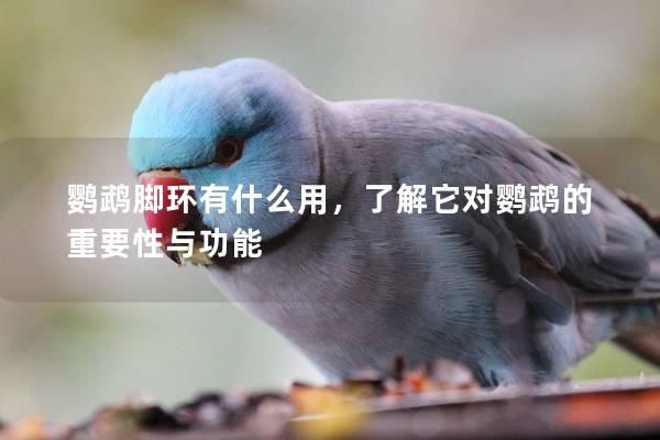 鹦鹉脚环有什么用，了解它对鹦鹉的重要性与功能