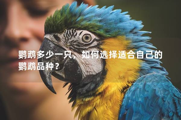 鹦鹉多少一只，如何选择适合自己的鹦鹉品种？