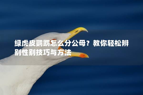 绿虎皮鹦鹉怎么分公母？教你轻松辨别性别技巧与方法