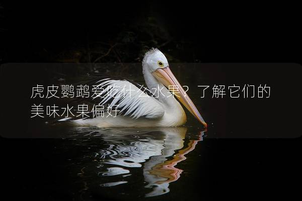 虎皮鹦鹉爱吃什么水果？了解它们的美味水果偏好