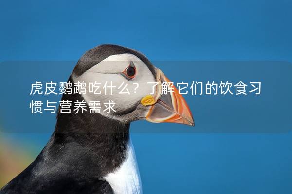 虎皮鹦鹉吃什么？了解它们的饮食习惯与营养需求