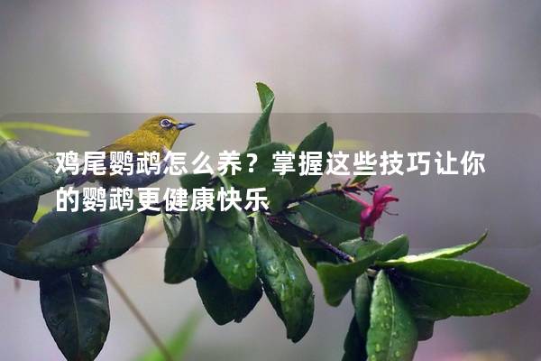 鸡尾鹦鹉怎么养？掌握这些技巧让你的鹦鹉更健康快乐