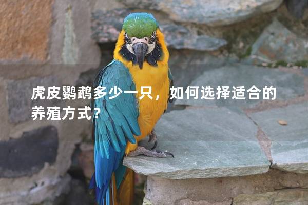 虎皮鹦鹉多少一只，如何选择适合的养殖方式？