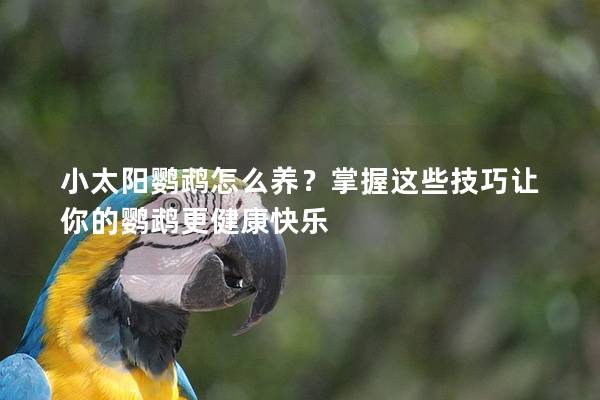 小太阳鹦鹉怎么养？掌握这些技巧让你的鹦鹉更健康快乐