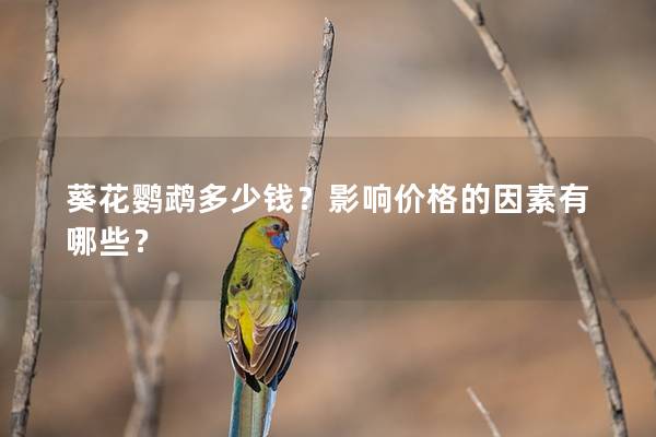 葵花鹦鹉多少钱？影响价格的因素有哪些？