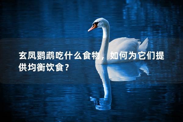 玄凤鹦鹉吃什么食物，如何为它们提供均衡饮食？