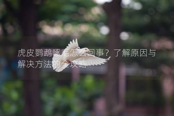 虎皮鹦鹉啄毛怎么回事？了解原因与解决方法的全攻略