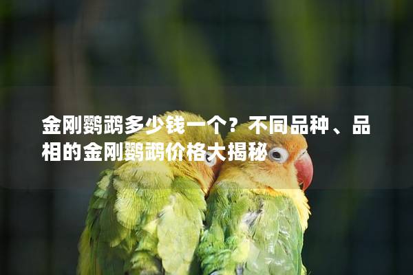 金刚鹦鹉多少钱一个？不同品种、品相的金刚鹦鹉价格大揭秘