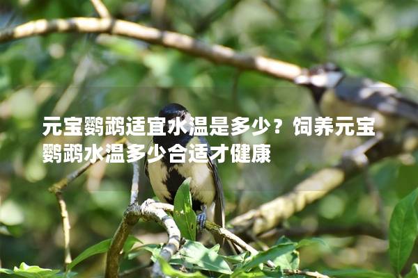 元宝鹦鹉适宜水温是多少？饲养元宝鹦鹉水温多少合适才健康