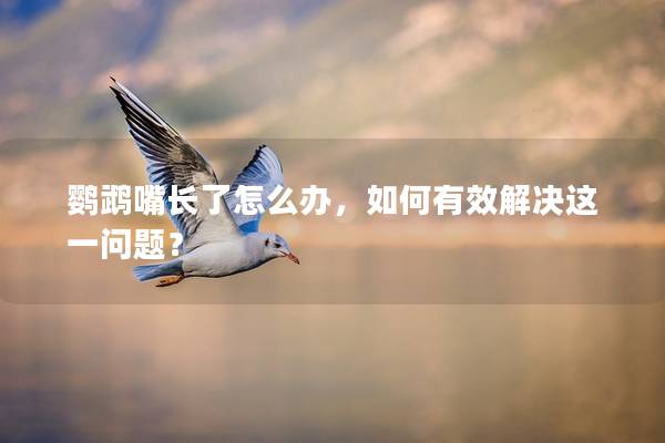 鹦鹉嘴长了怎么办，如何有效解决这一问题？