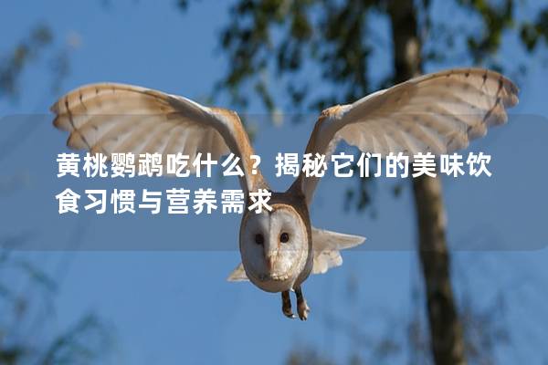 黄桃鹦鹉吃什么？揭秘它们的美味饮食习惯与营养需求