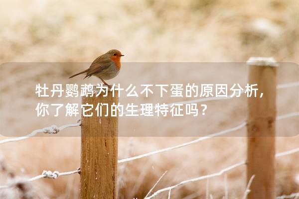 牡丹鹦鹉为什么不下蛋的原因分析,你了解它们的生理特征吗？