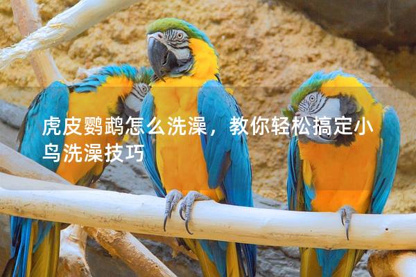 虎皮鹦鹉怎么洗澡，教你轻松搞定小鸟洗澡技巧