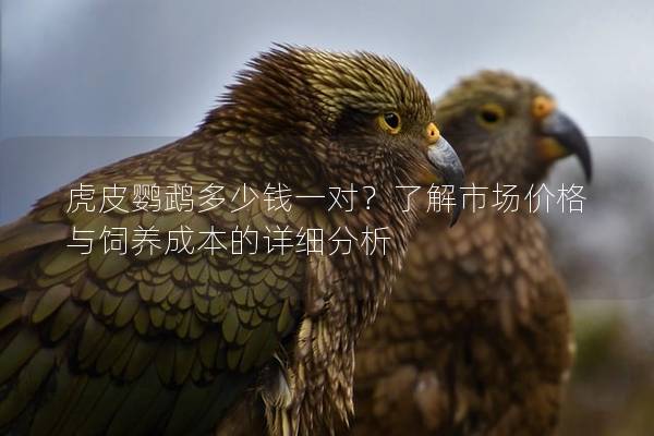 虎皮鹦鹉多少钱一对？了解市场价格与饲养成本的详细分析