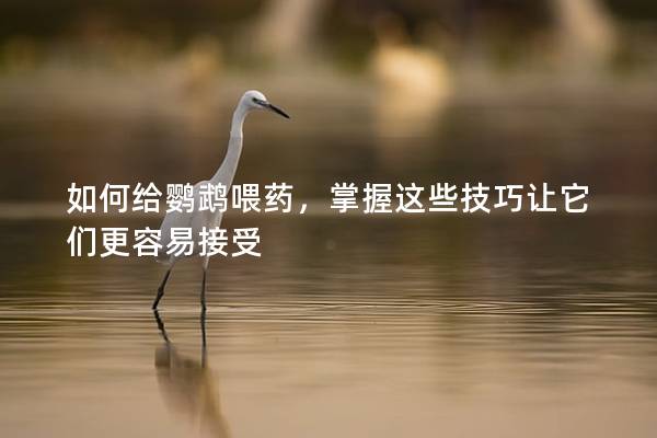 如何给鹦鹉喂药，掌握这些技巧让它们更容易接受