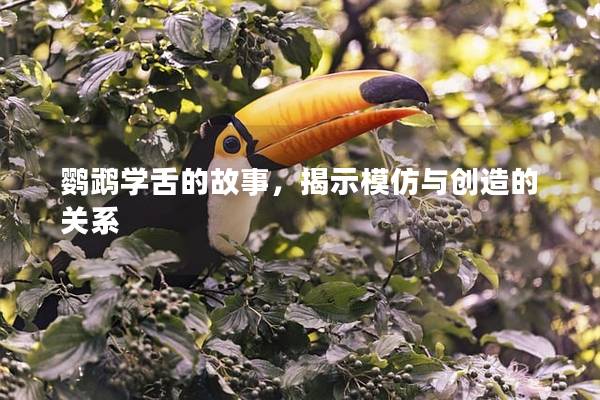 鹦鹉学舌的故事，揭示模仿与创造的关系